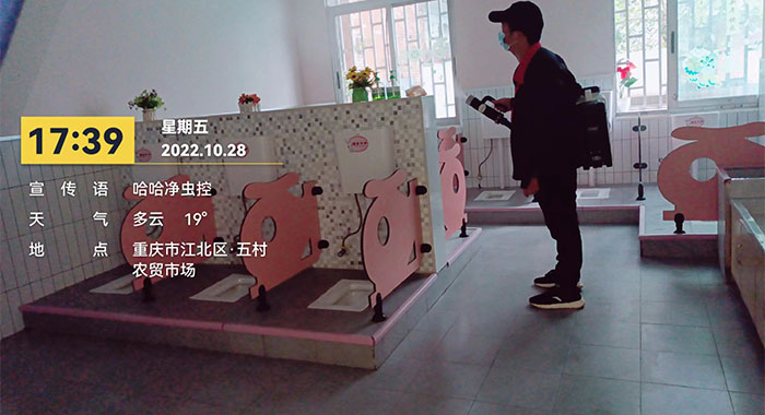 灭蚊蝇