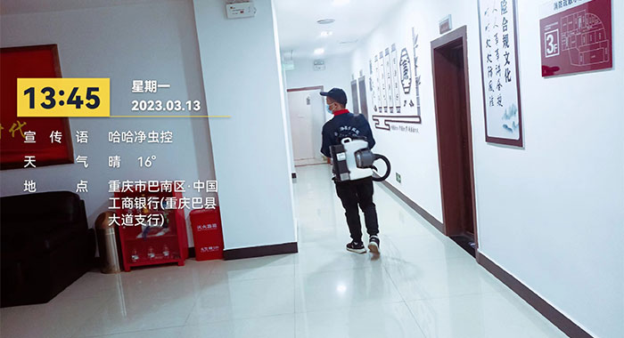 灭蚊蝇
