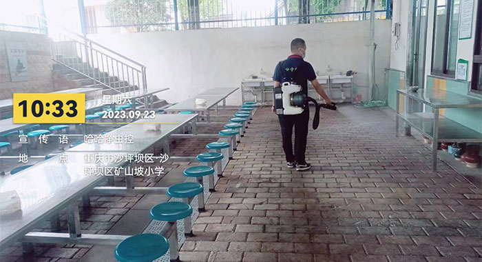 灭蚊蝇