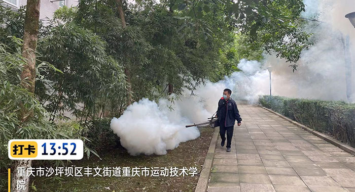 灭蚊蝇