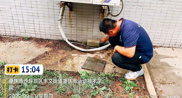 灭鼠