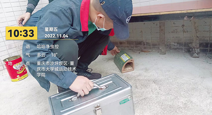 灭鼠