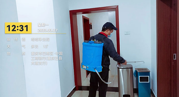 灭蟑螂