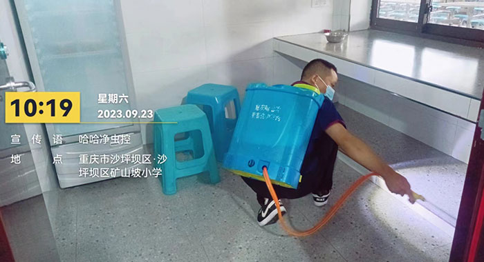 灭蟑螂