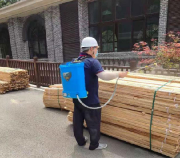 重庆自然博物馆古建筑修缮白蚁防治施工现场