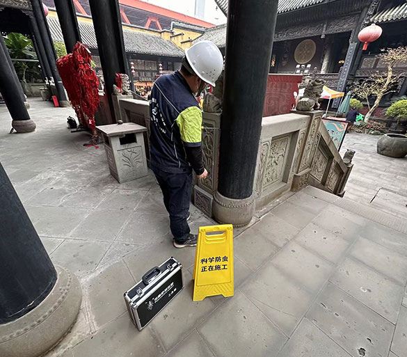 白蚁防治