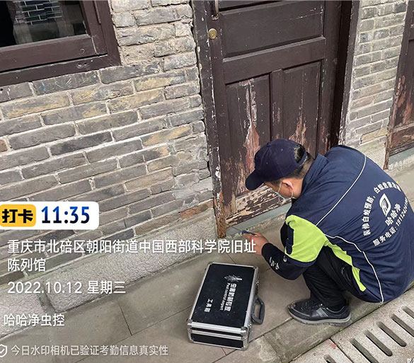 白蚁防治