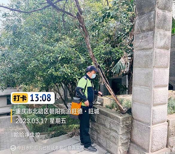 白蚁防治